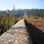 into the distance (John Forrest National Park Photoshoot)